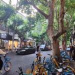 If you like Singapore, You’ll Love Shanghai